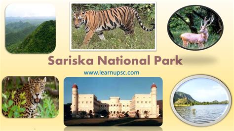 Rusirani & Sariska national park .